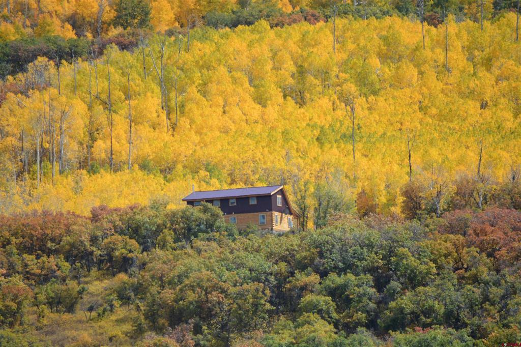 19645 Stoney Creek Road Hotchkiss, CO 81419