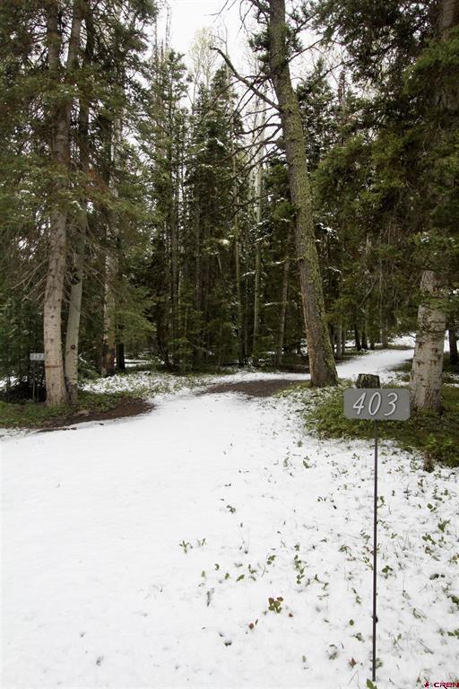 403 Crest Drive Cimarron, CO 81220
