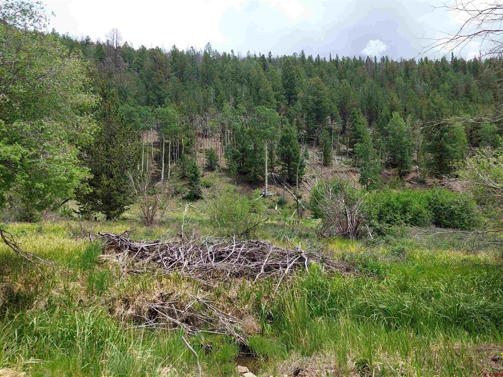 (TBD) Lots 1-4 block 4 Bonanza, CO 81155