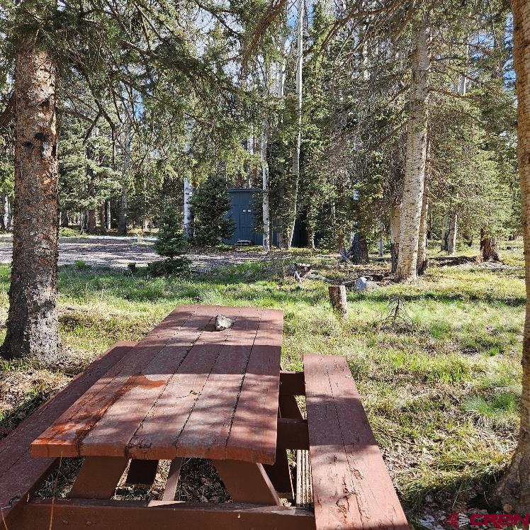 322 Spruce Road Cimarron, CO 81220