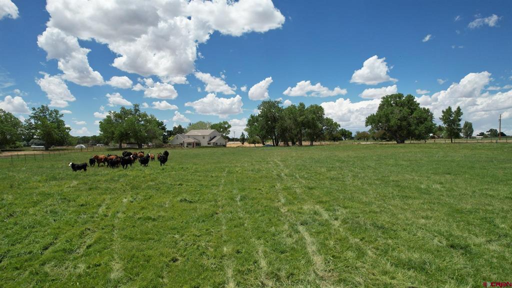 (TBD) Road M Dolores, CO 81323