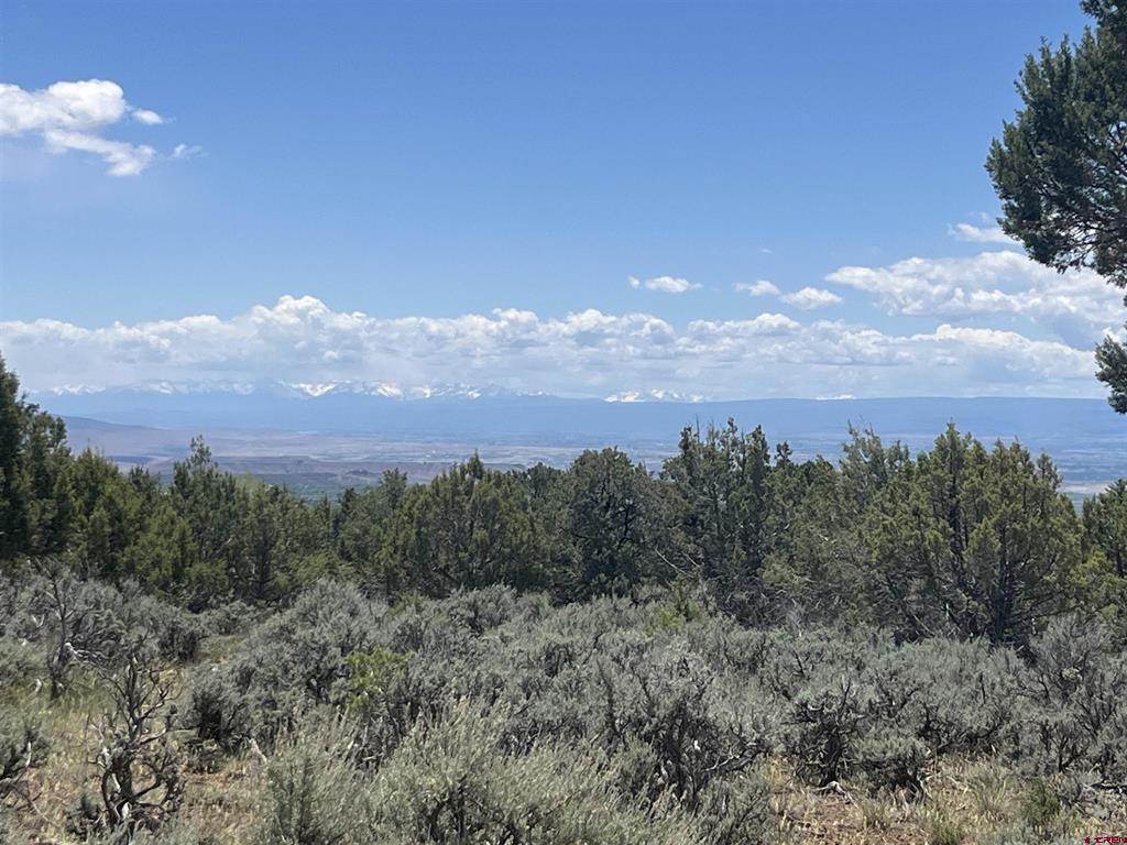 (TBD) Green Valley Road Cedaredge, CO 81413