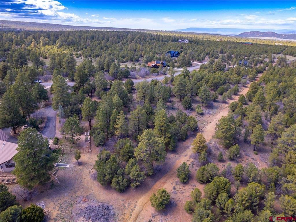 TBD Lot 556 Badger Trail N. Ridgway, CO 81432