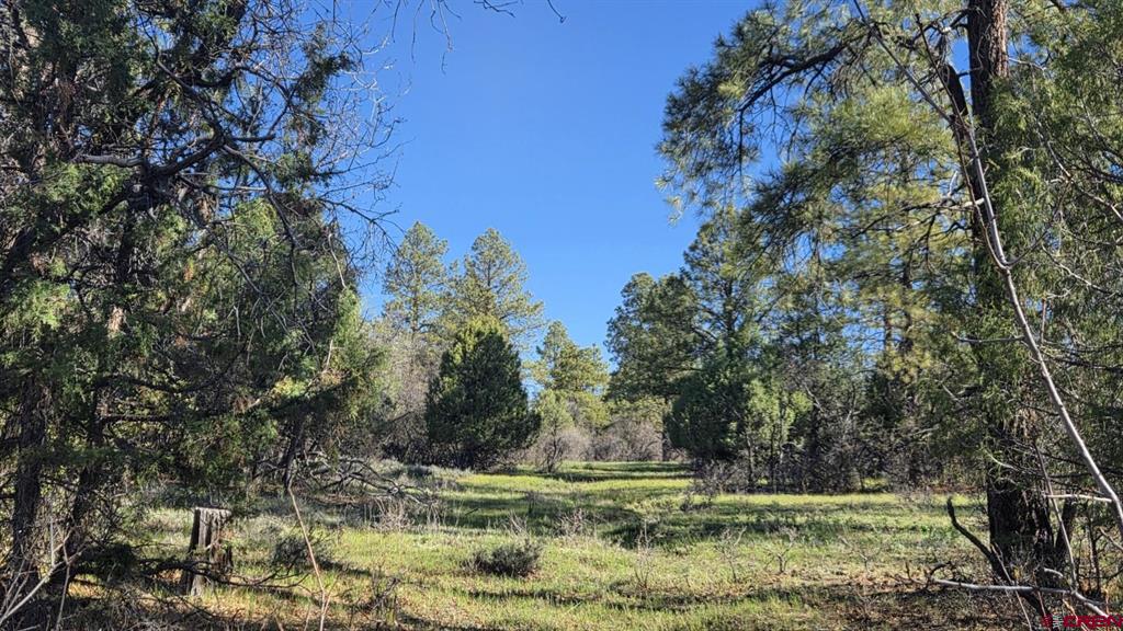 592 Ranchland Drive Pagosa Springs, CO 81147