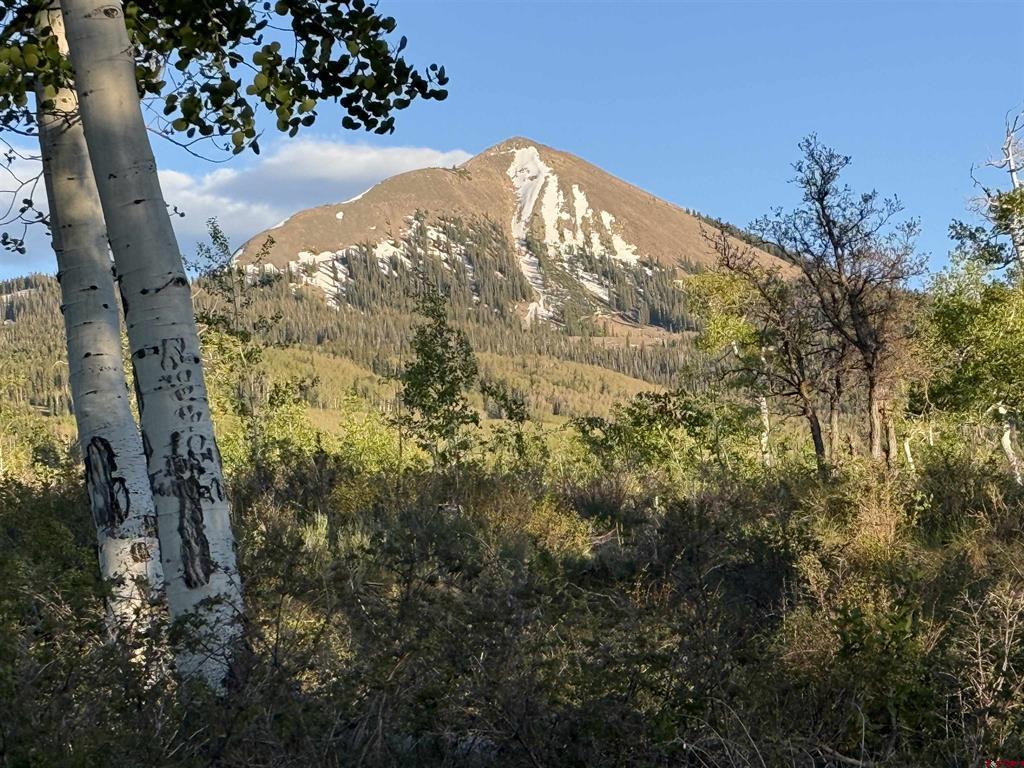 LOT F TOP OF THE WORLD Drive Placerville, CO 81430