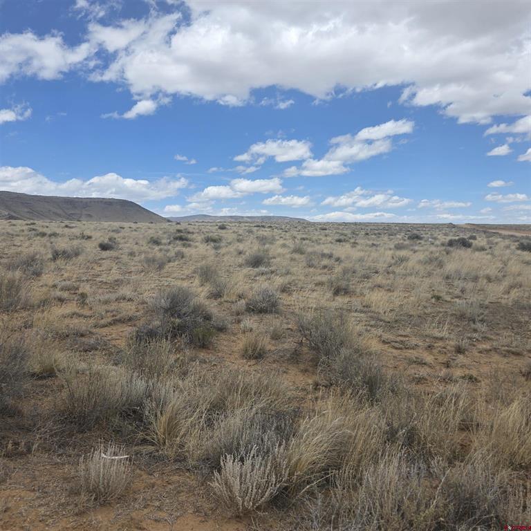 (TBD) Kalamath Trail Lot 57 San Luis, CO 81152