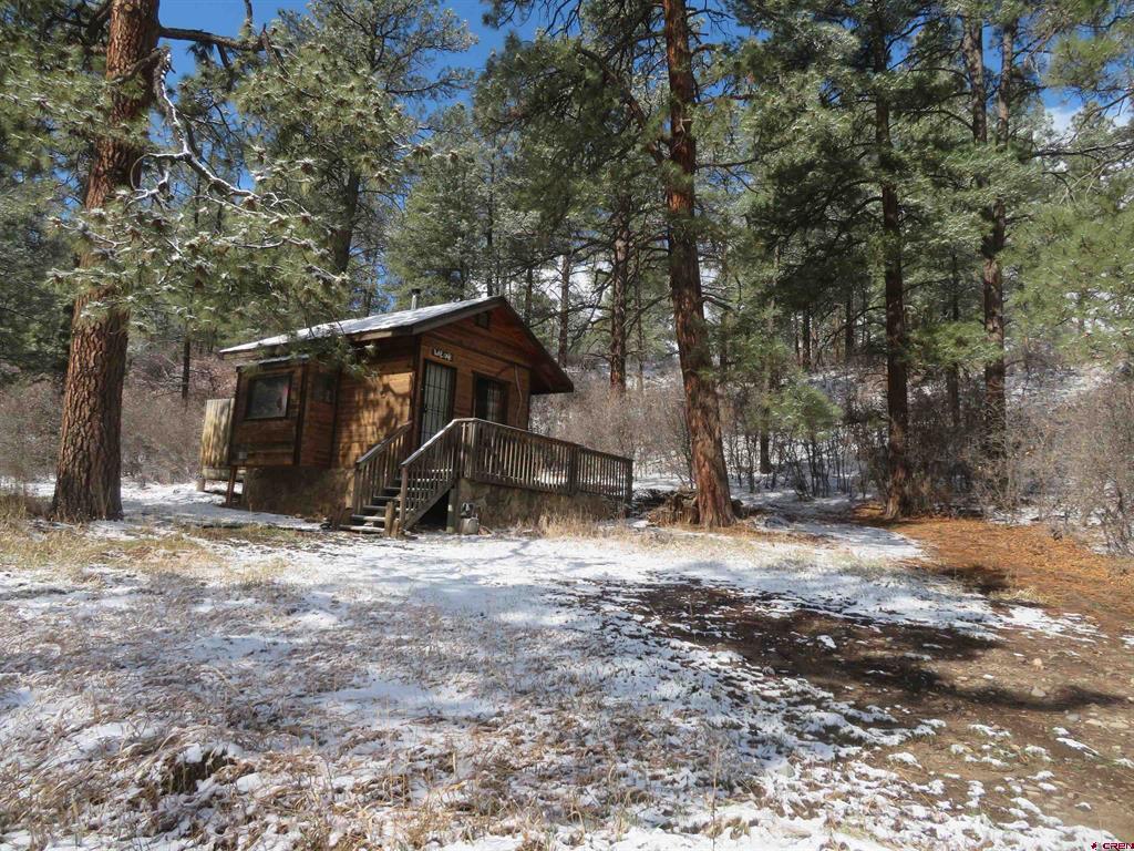 203 Evergreen Pagosa Springs, CO 81147