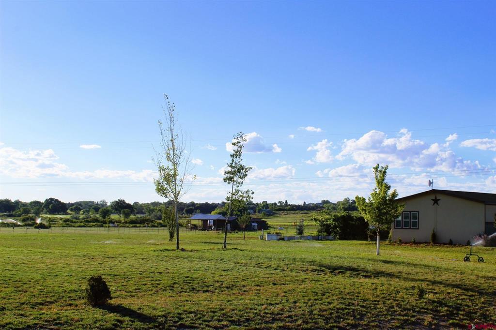 11155 Road 30.1 Mancos, CO 81328