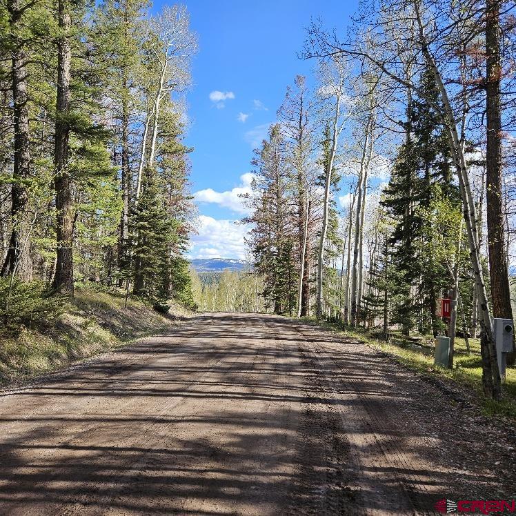 97 Aspen Trail Cimarron, CO 81220