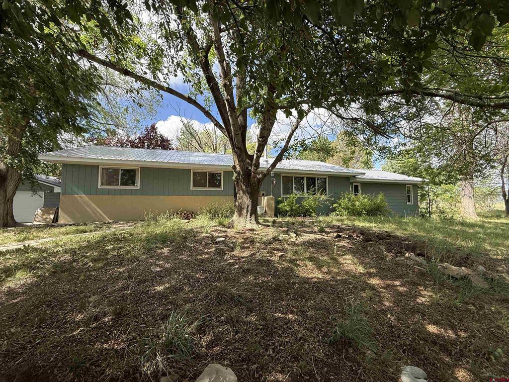 10944 3500 Road Hotchkiss, CO 81419