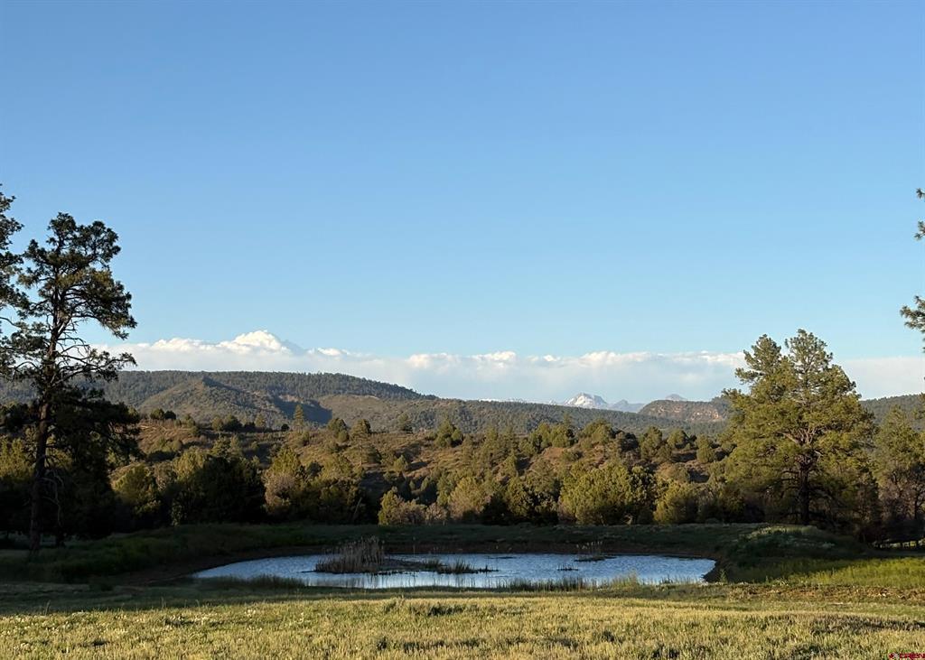 (TBD) County Road 700 Pagosa Springs, CO 81147