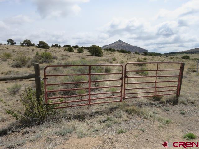 274 Antelope Trail Del Norte, CO 81132