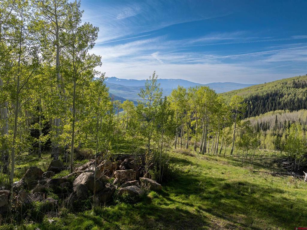 (TBD) Oversteeg Gulch Road Crested Butte, CO 81224