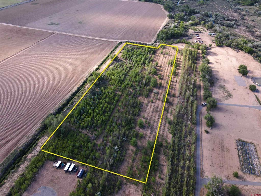 (TBD) Begonia Road Olathe, CO 81425