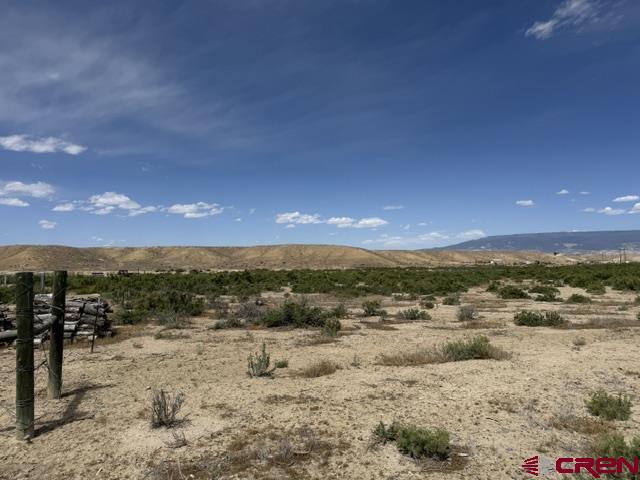 3849 Peach Valley Road Delta, CO 81416