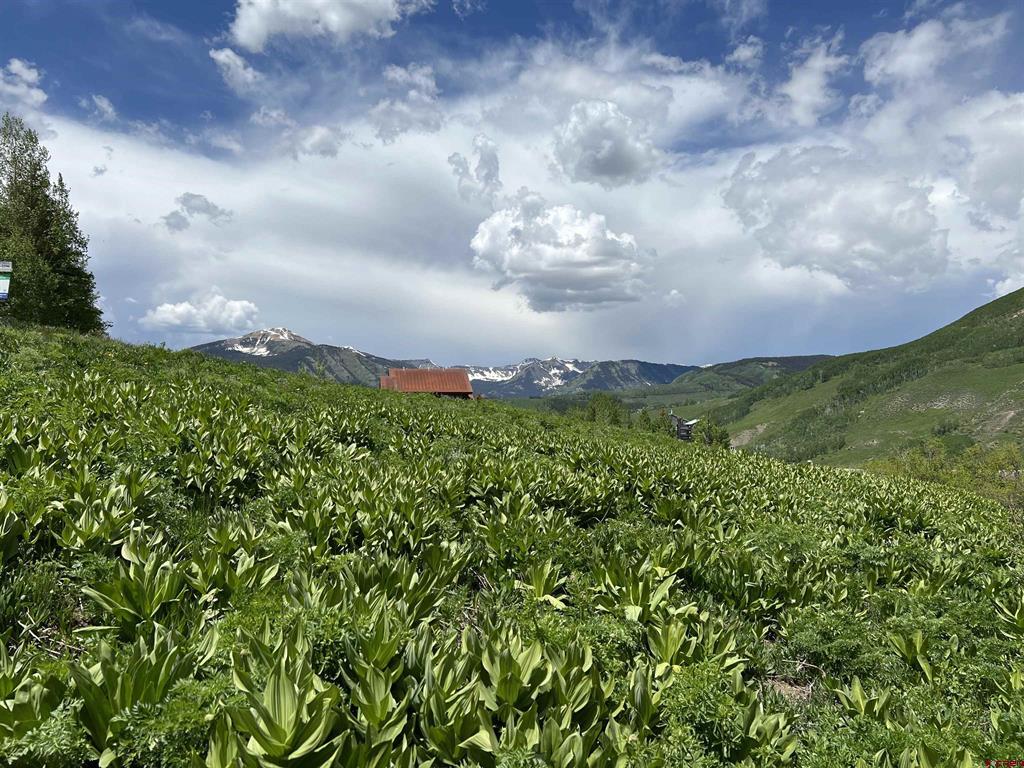 18 Cinnamon Mountain Road Mount Crested Butte, CO 81225