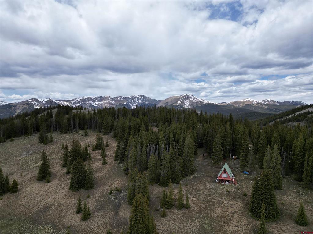 1170 Geneva Loop Pitkin, CO 81241