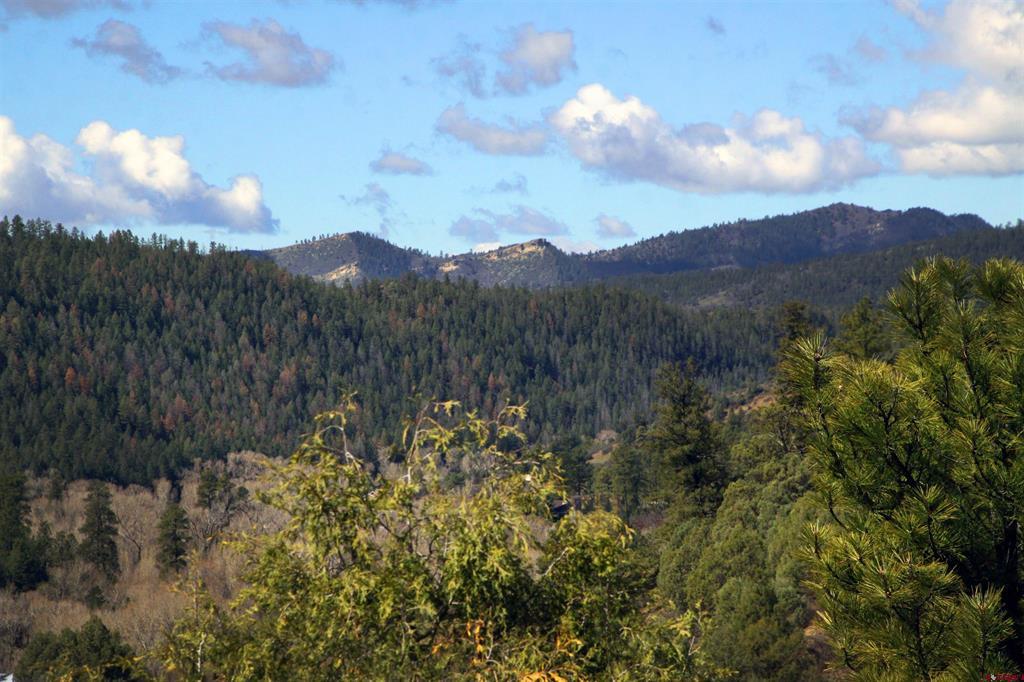 2519 County RD 335 Pagosa Springs, CO 81147