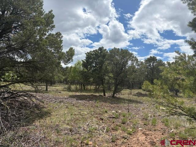 Lot 4 Tower Road North Ridgway, CO 81432