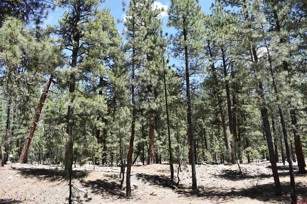 80 Ranch Road Bayfield, CO 81122