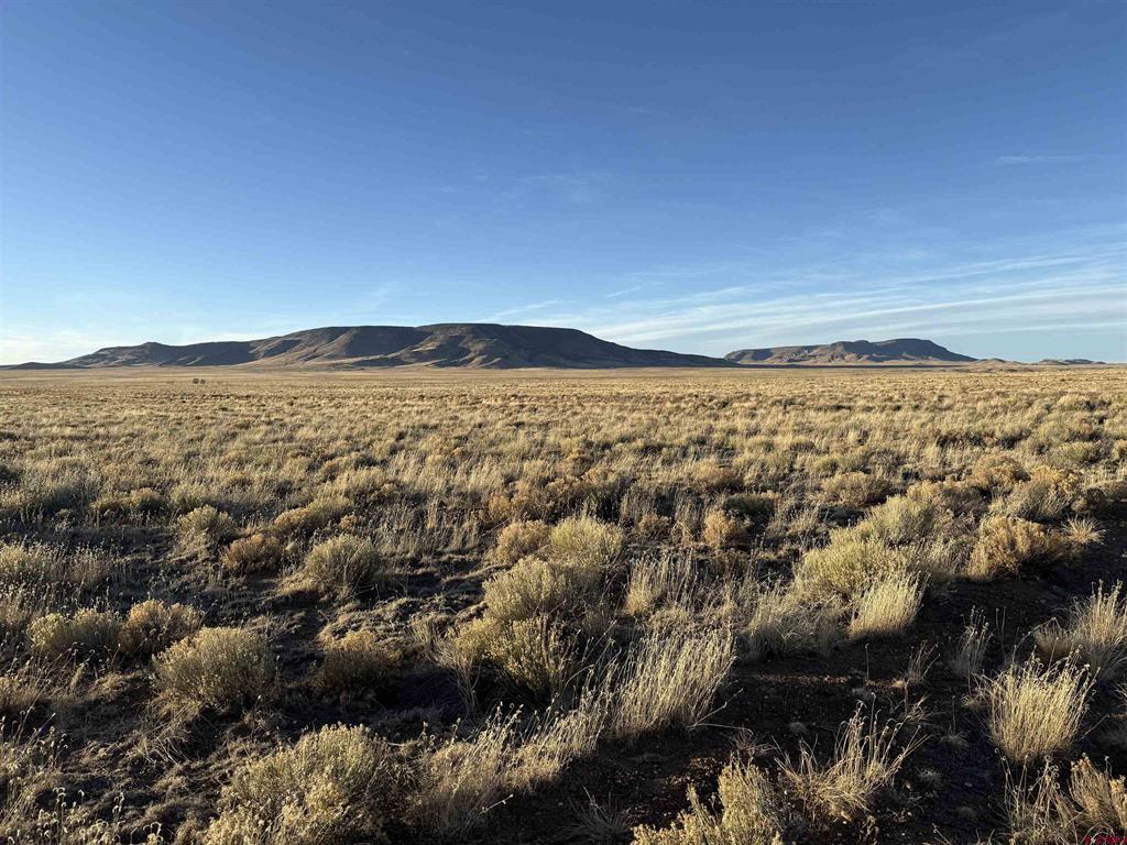 (TBD) Tonganoxie Trail Mesita, CO 81152