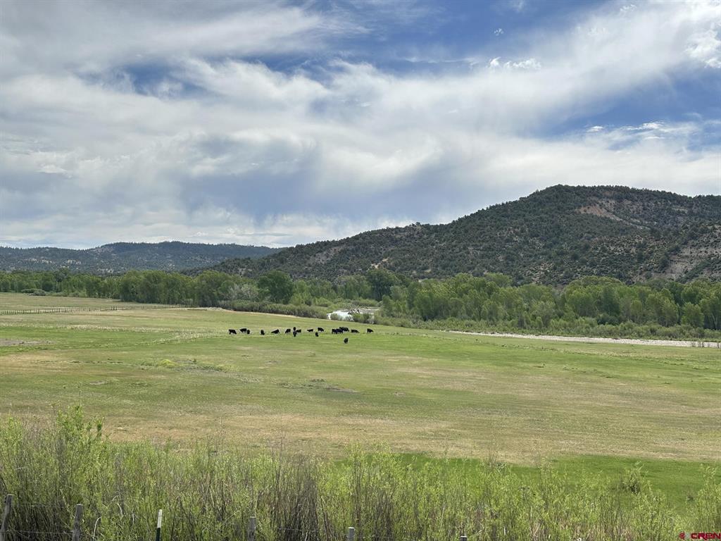 (TBD) USFS RD 613 Arboles, CO 81147