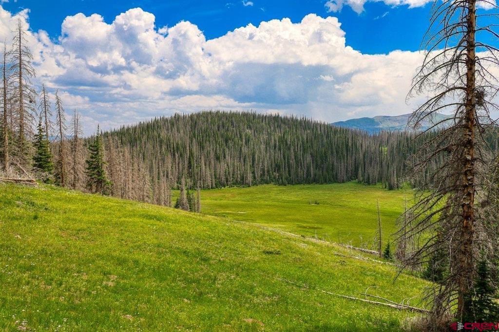 (TBD) Stunner Pass Platoro, CO 81120
