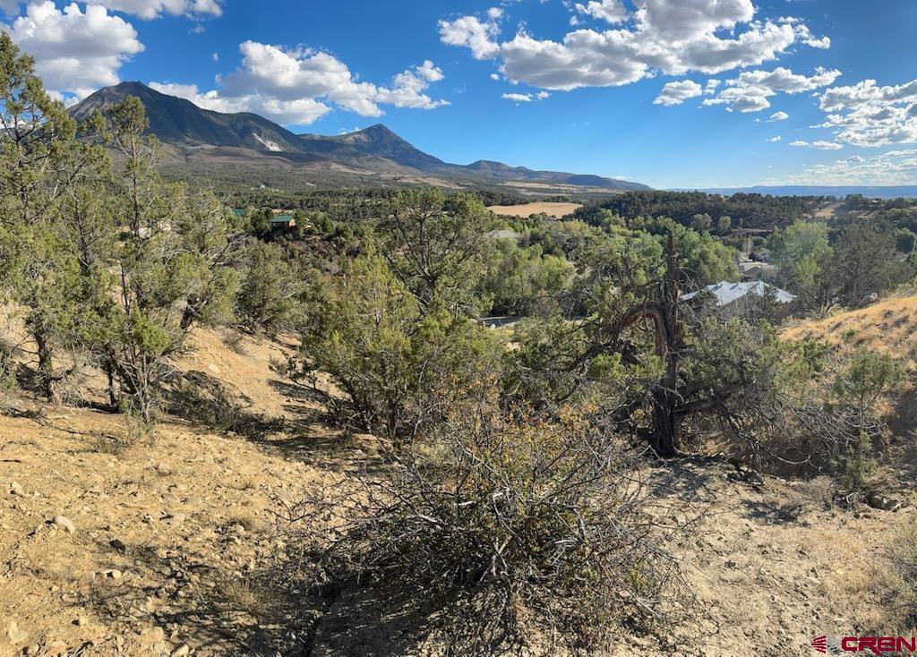 Lot 5 Ragged Mountain Drive Paonia, CO 81428