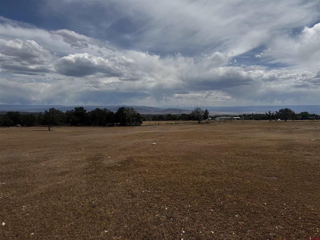(TBD) 2550 Road Cedaredge, CO 81413