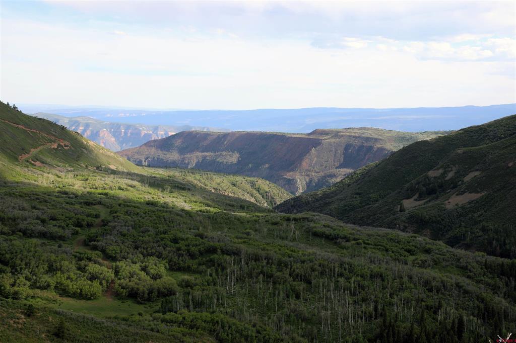 (TBD) MS Road Glade Park, CO 81522