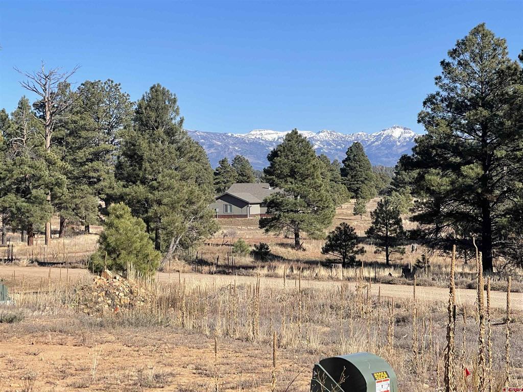 157 Mansions Circle Pagosa Springs, CO 81147