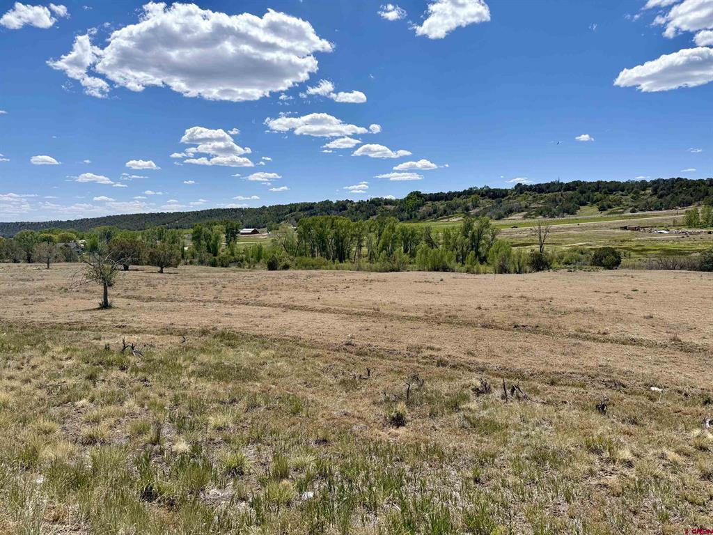 1366 Wrangler Way Durango, CO 81303