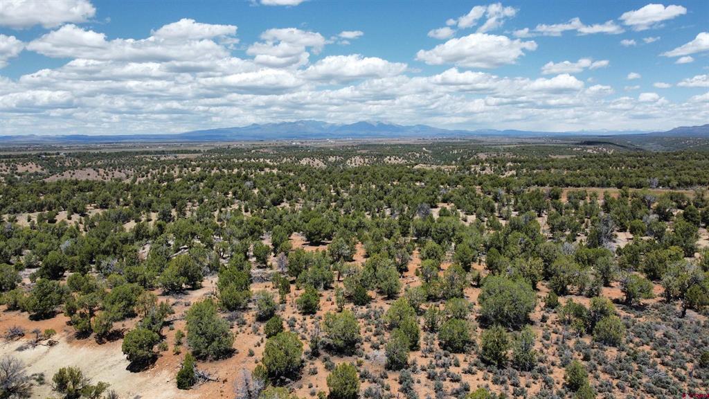4001 CR 136 Ignacio, CO 81122