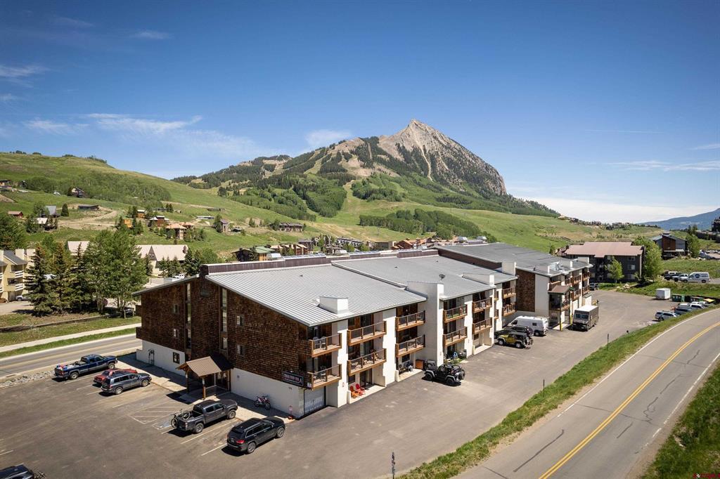 701 Gothic Road Mount Crested Butte, CO 81225