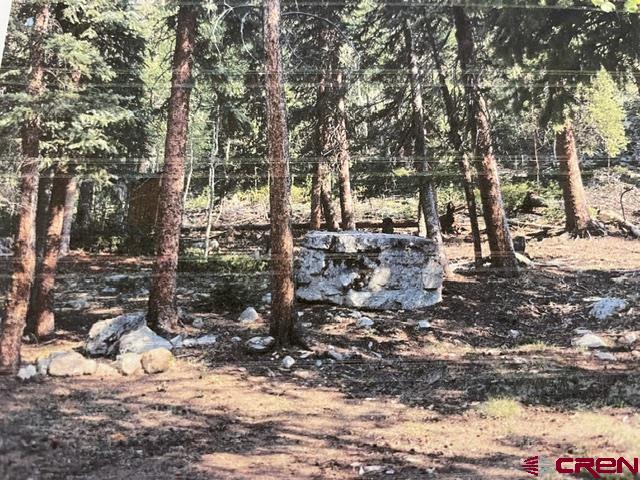 (TBD) USFS RD 766 Road Pitkin, CO 81241