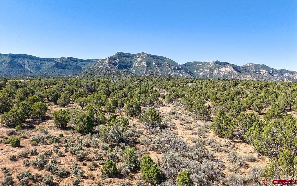 (TBD) Road F Cortez, CO 81321