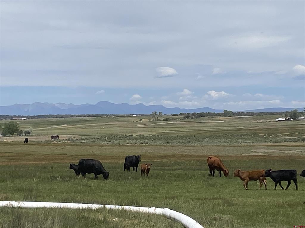 346 County Road 321 Ignacio, CO 81137