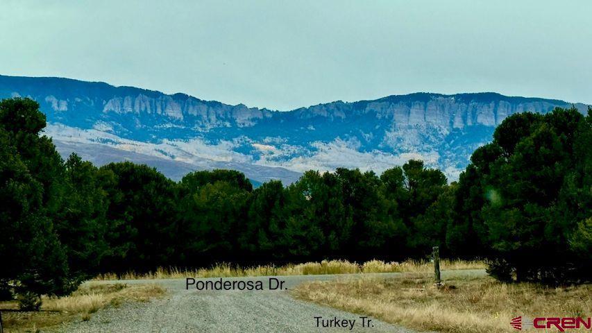 Lot 13G Ponderosa Drive Ridgway, CO 81432