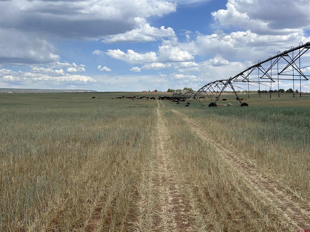 (TBD) Road 15 Cahone, CO 81320