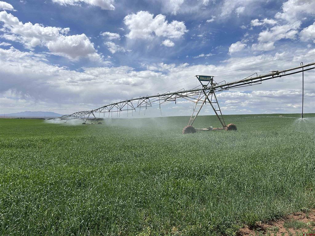 (TBD) Road 15 Cahone, CO 81320