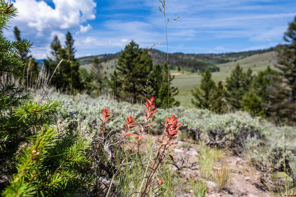 1021 Slumgullion Trail Powderhorn, CO 81243