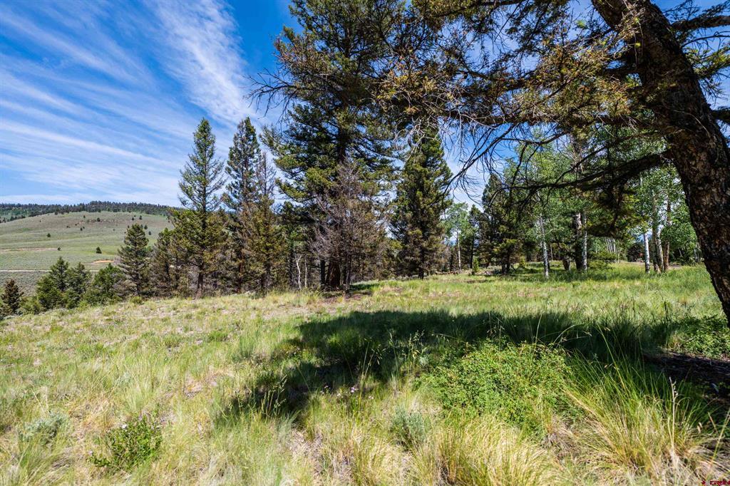 1021 Slumgullion Trail Powderhorn, CO 81243
