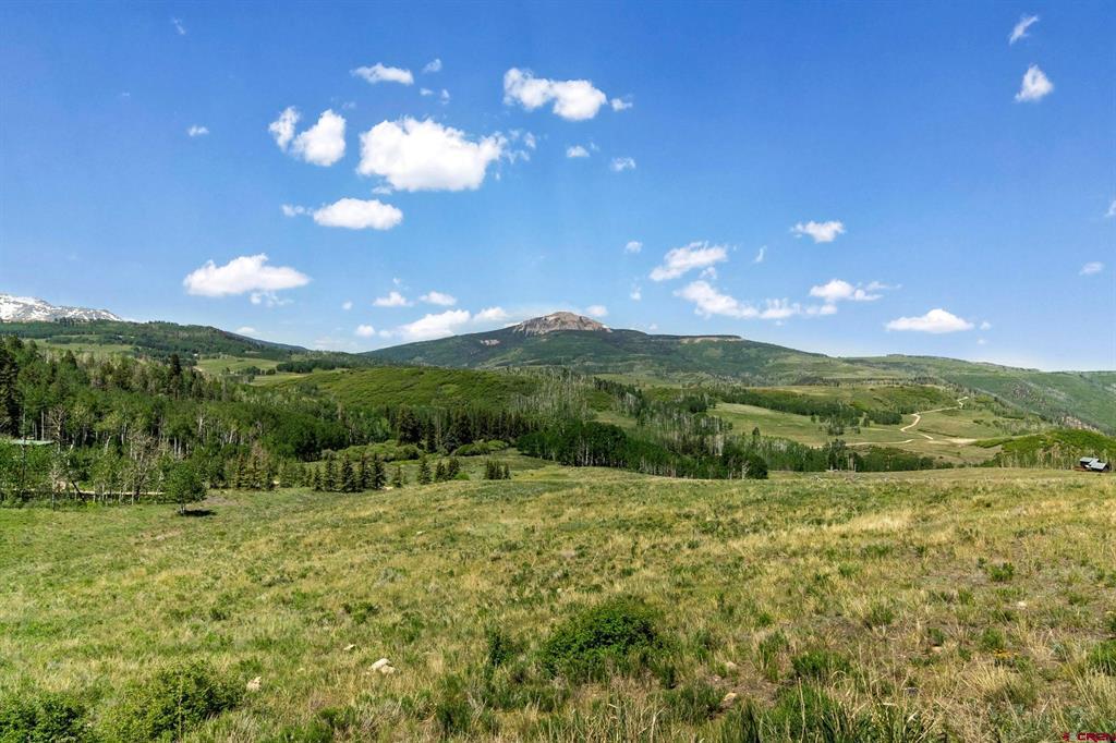 Tract 47 - TBD Wilson Mesa Ranch Circle Placerville, CO 81435