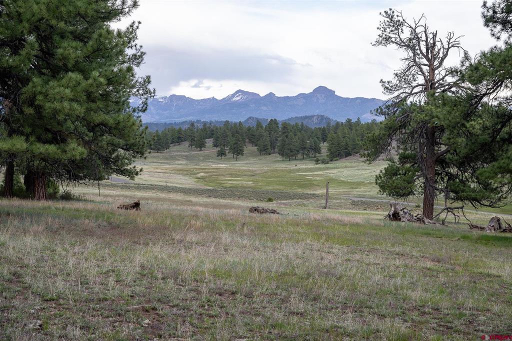2615 Echo Canyon Ranch Lane Pagosa Springs, CO 81147