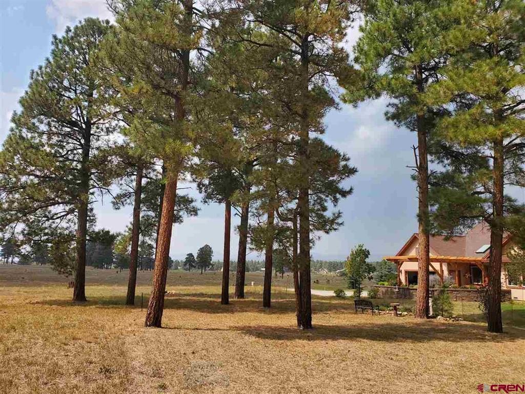 69 Capstone Circle Pagosa Springs, CO 81147