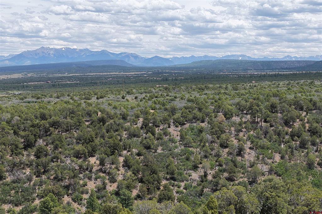 (TBD) Juniper Drive (42.2Y Road) Norwood, CO 81423