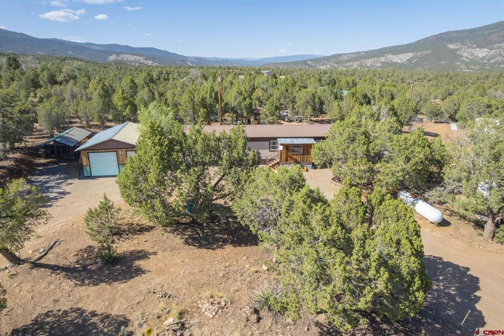 98 Wandering Hills Place Arboles, CO 81121