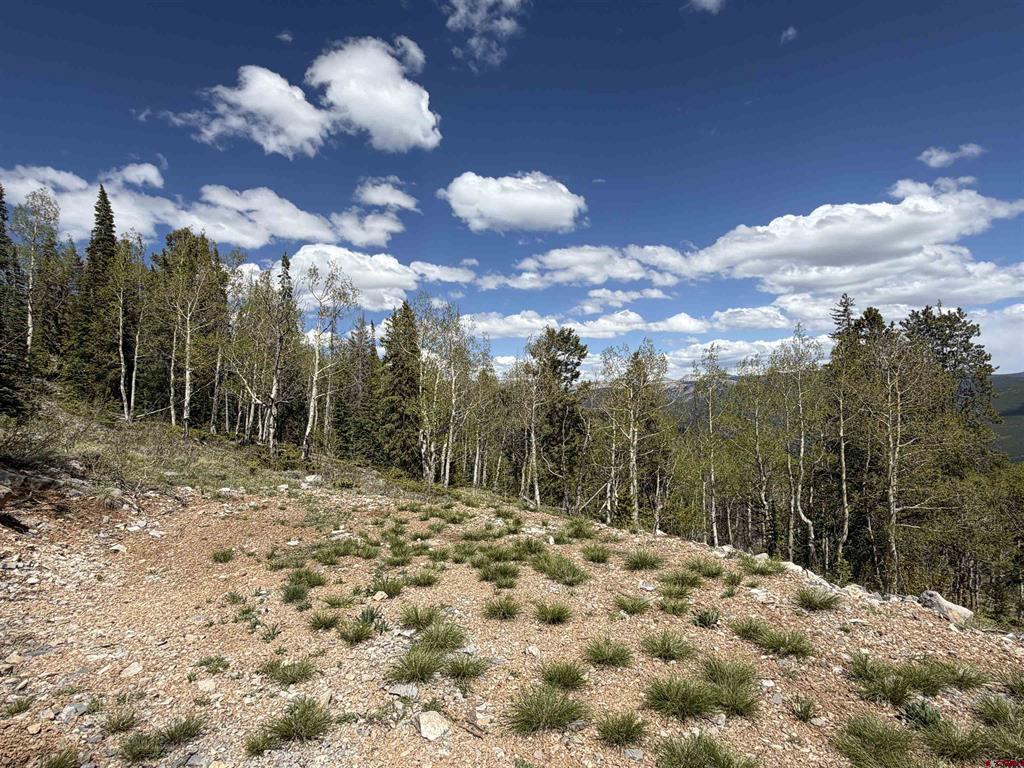 159 Lime Bluff Drive Pitkin, CO 81241