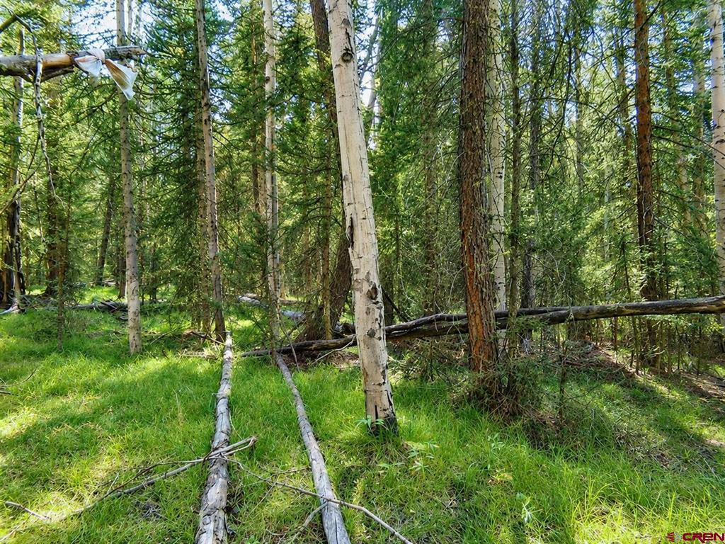 445 Aspen Trail Cimarron, CO 81220