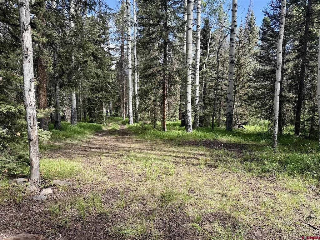 425 Aspen Trail Cimarron, CO 81220